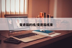 变速箱的线/变速箱线束