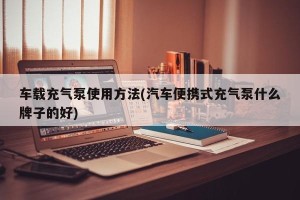 车载充气泵使用方法(汽车便携式充气泵什么牌子的好)